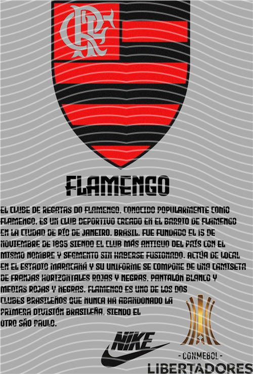 NBA and Team-QD 1146